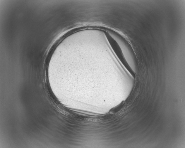 X0000054381271200508262358