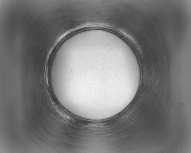 X0000054381272200508262358