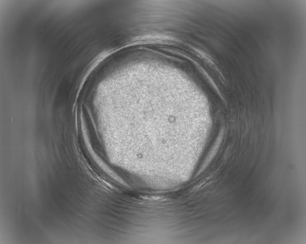 X0000054381275200508262358