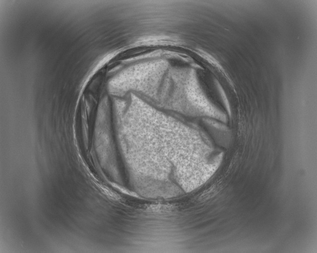 X0000054381277200508262358