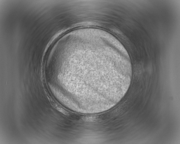 X0000054381278200508262358