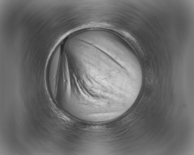 X0000054381280200508262358