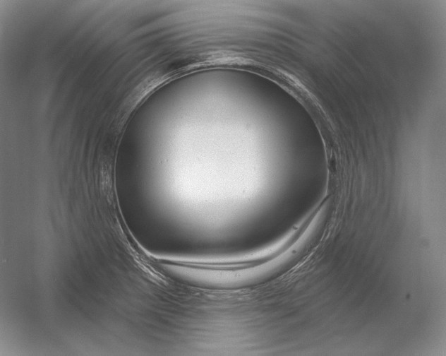 X0000054381281200508262358