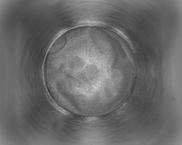 X0000054381283200508262358