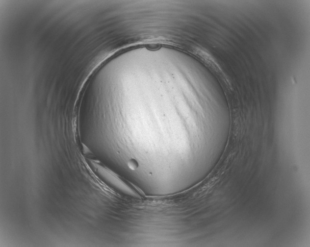 X0000054381284200508262358