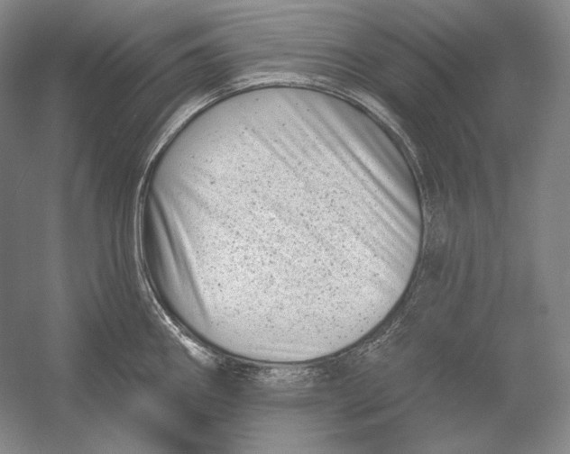 X0000054381290200508262358