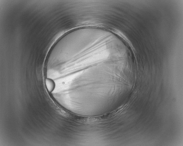 X0000054381291200508262357