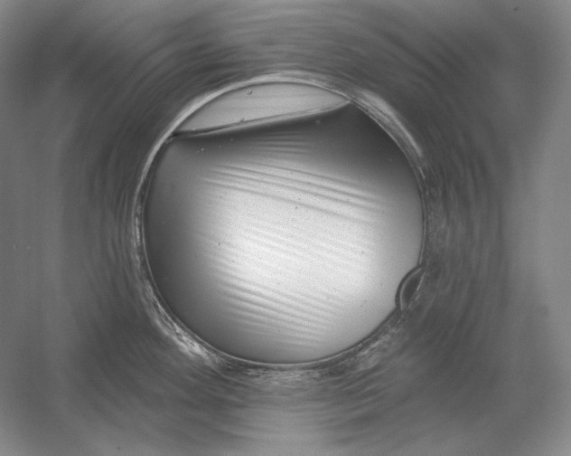 X0000054381292200508262357