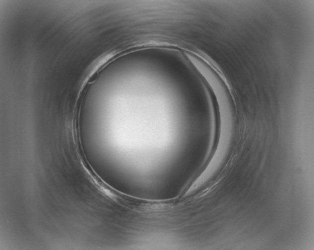 X0000054381293200508262357