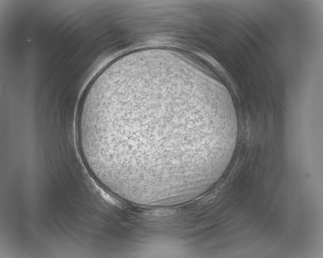 X0000054381294200508262357