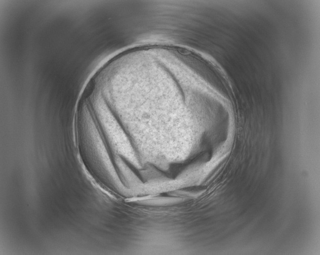 X0000054381295200508262357