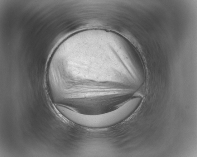 X0000054381296200508262357