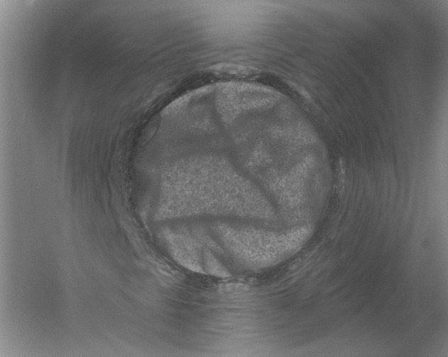 X0000054381297200508262357