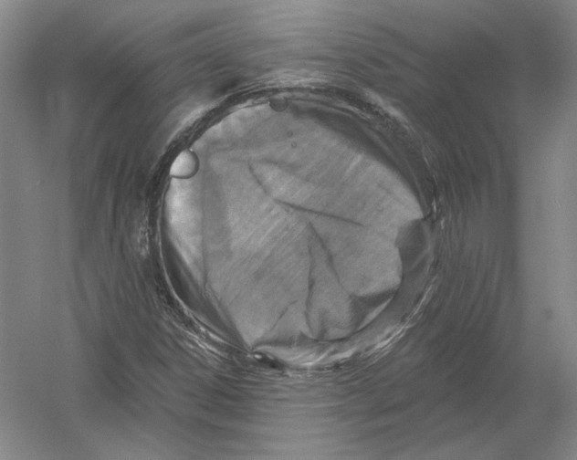 X0000054381306200508262357