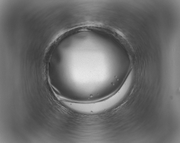 X0000054381310200508262357