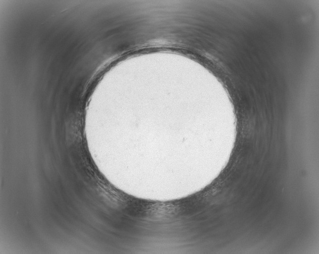 X0000054381314200508262357