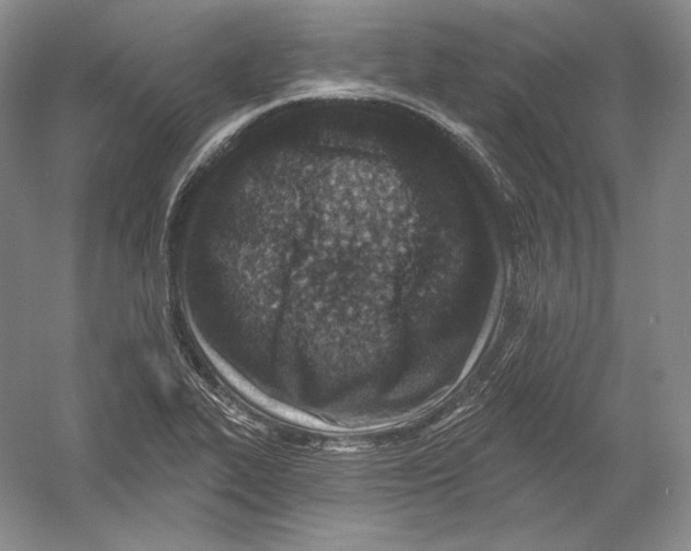 X0000054381319200508262357