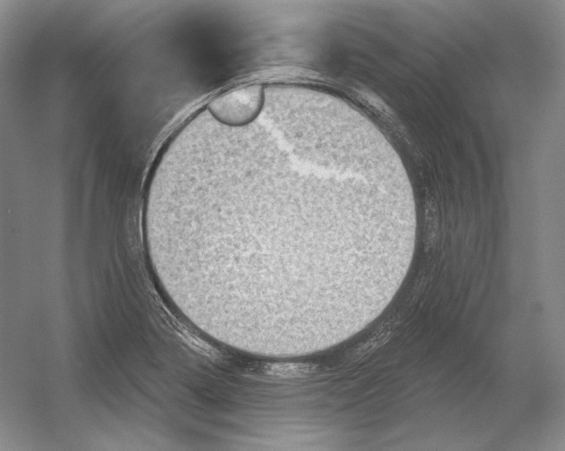 X0000054381322200508262357