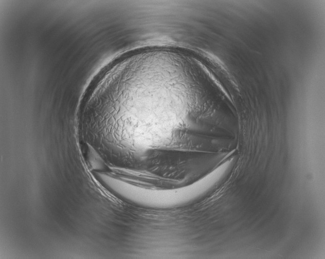 X0000054381326200508262357