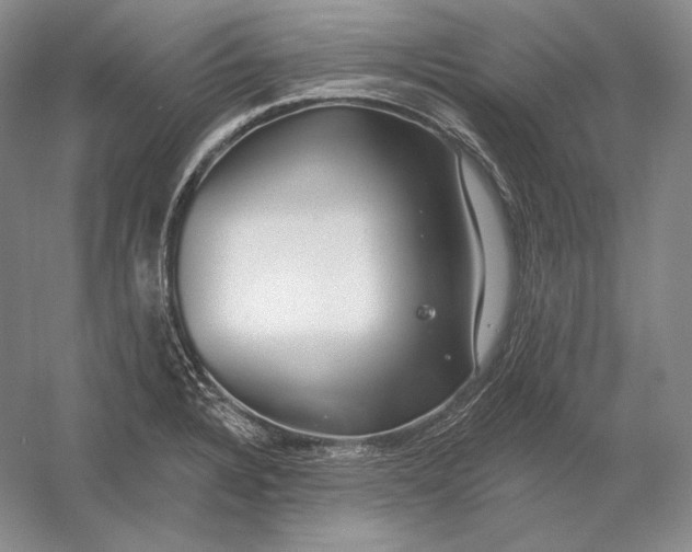 X0000054381328200508262357