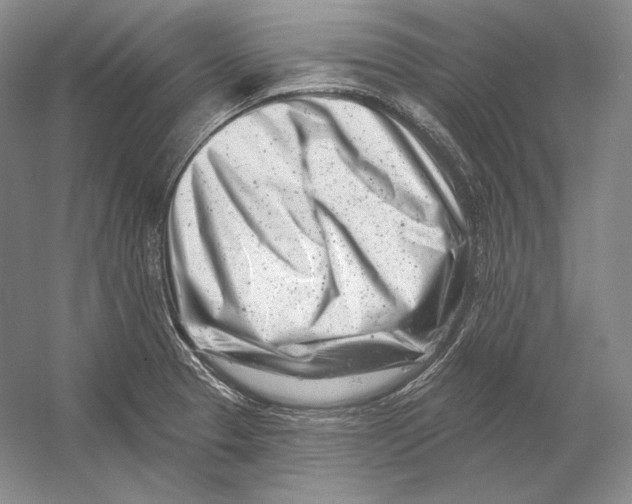 X0000054381329200508262357