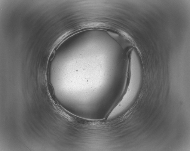 X0000054381330200508262357