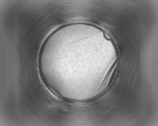 X0000054381333200508262357