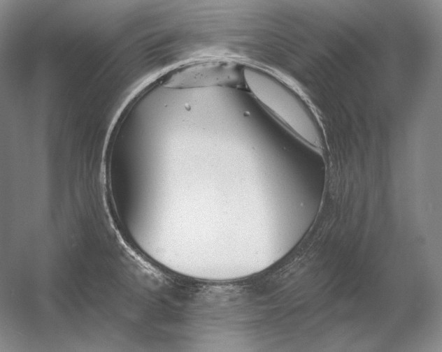 X0000054381335200508262357