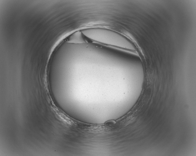 X0000054381336200508262357