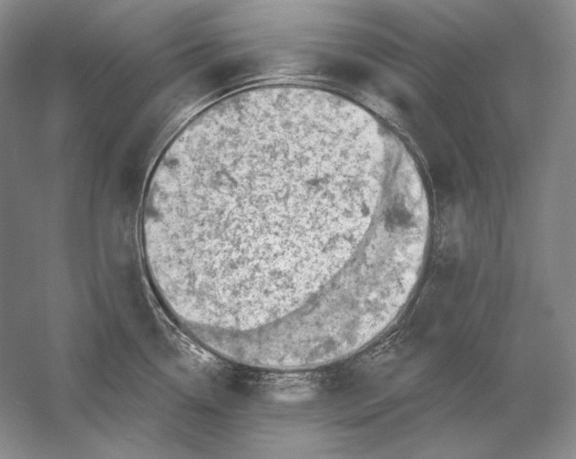 X0000054381338200508262357