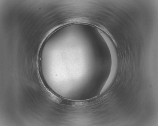 X0000054381339200508262357