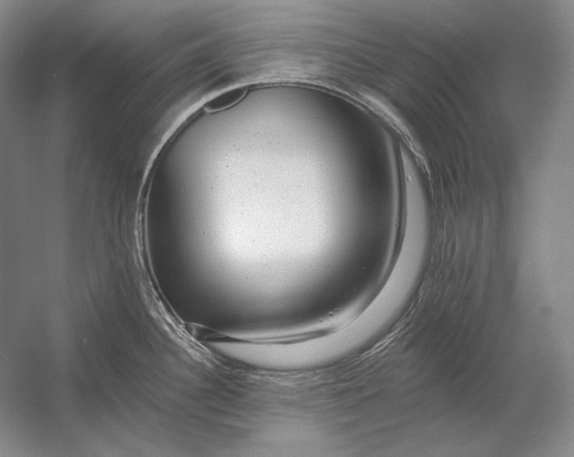 X0000054381340200508262357