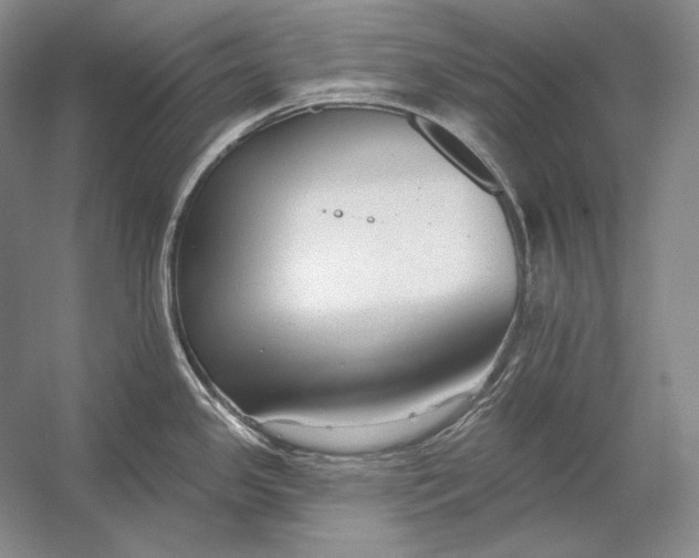 X0000054381341200508262357