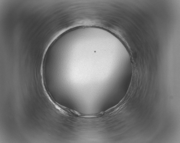 X0000054381343200508262357