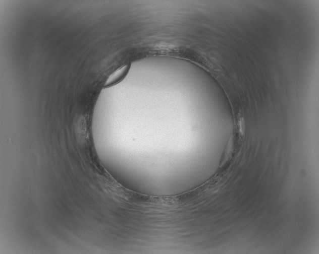 X0000054381347200508262357