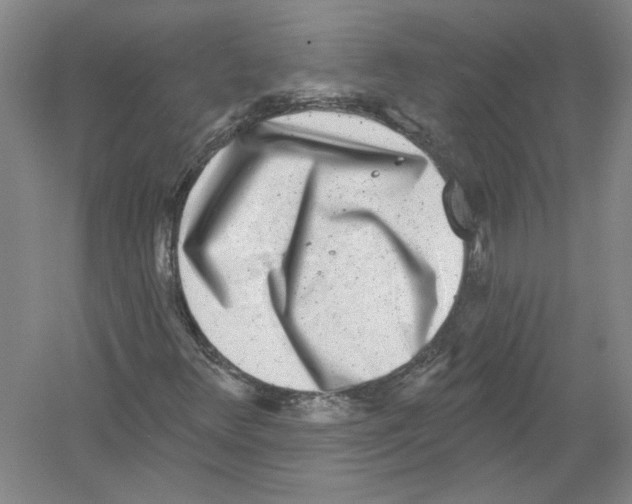 X0000054381348200508262357