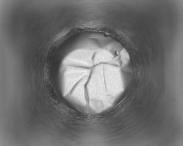 X0000054381350200508262356