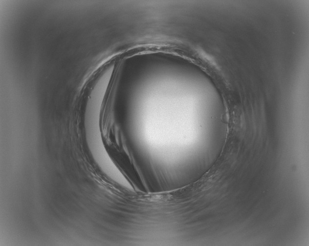 X0000054381352200508262356