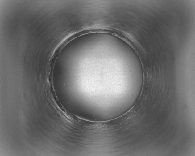 X0000054381356200508262356