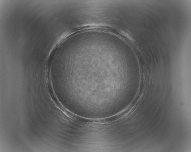 X0000054381357200508262356