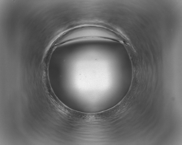 X0000054381360200508262356