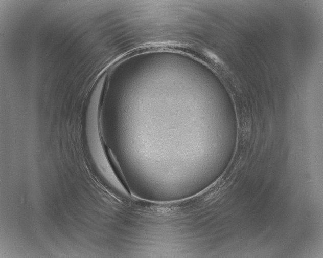 X0000054381361200508262356