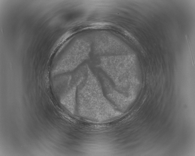 X0000054381362200508262356