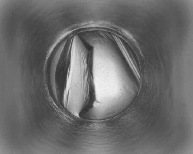 X0000054381368200508262356