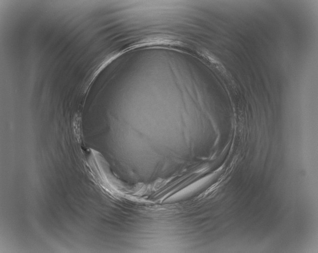 X0000054381369200508262356