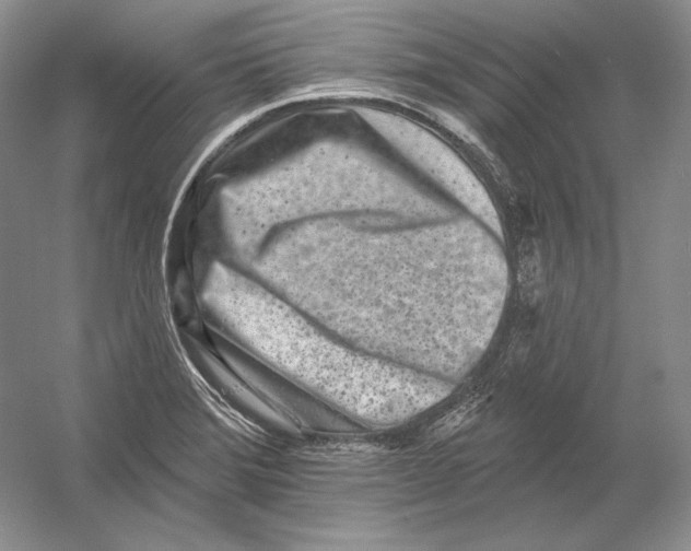 X0000054381372200508262356