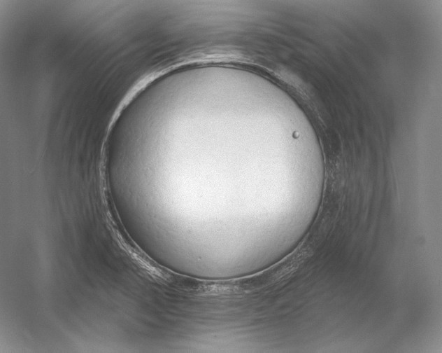 X0000054381374200508262356