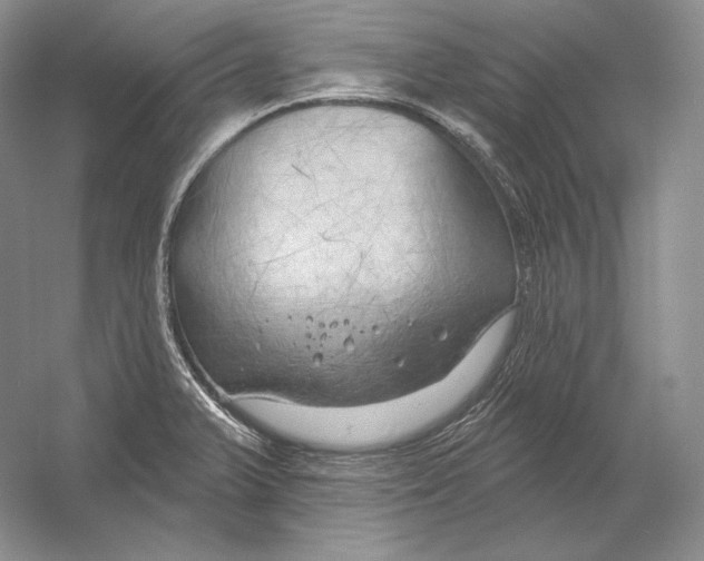 X0000054381375200508262356