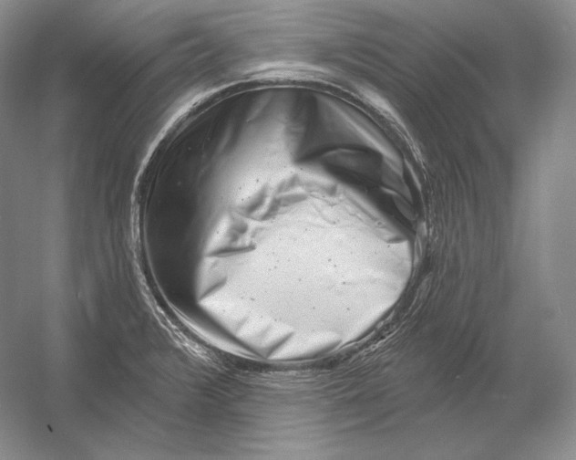 X0000054381376200508262356