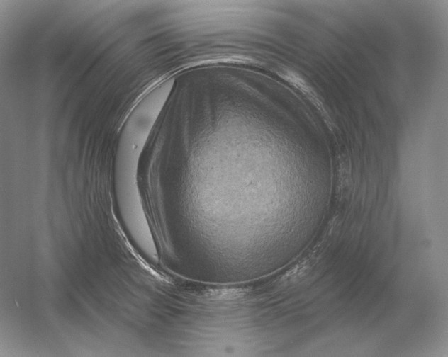 X0000054381377200508262356